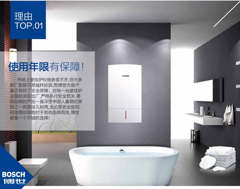 博世欧洲之星35千瓦壁挂炉简介