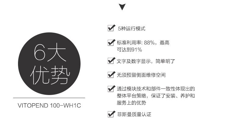 菲斯曼壁挂炉官网